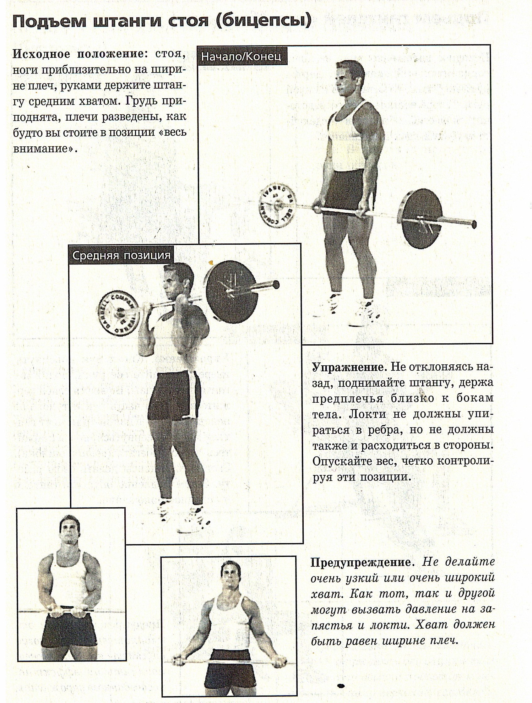 Строгий подъем штанги нормативы. Подъем штанги на бицепс стоя нормативы. Поднятие штанги на бицепс нормативы. Нормативы на бицепс со штангой стоя. Строгий подъем на бицепс нормативы.